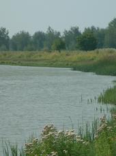 gorzen_170x227_038.jpg