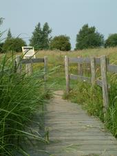 gorzen_170x227_043.jpg