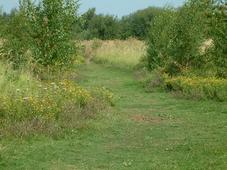 gorzen_227x170_010.jpg