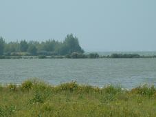 gorzen_227x170_014.jpg