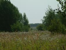 gorzen_227x170_019.jpg
