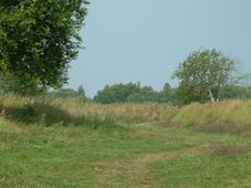 gorzen_227x170_026.jpg