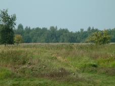 gorzen_227x170_027.jpg