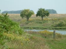 gorzen_227x170_034.jpg
