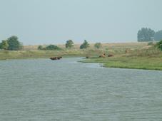 gorzen_227x170_041.jpg