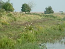 gorzen_227x170_044.jpg
