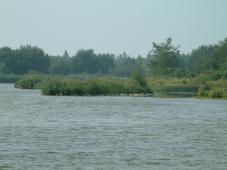 gorzen_227x170_045.jpg