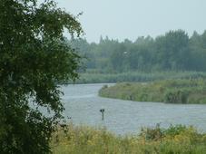 gorzen_227x170_046.jpg