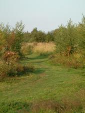 gorzen_170x227_071.jpg