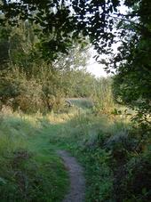 gorzen_170x227_076.jpg