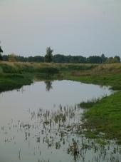 gorzen_170x227_088.jpg