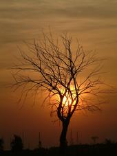gorzen_170x227_101.jpg