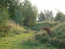 gorzen_227x170_072.jpg