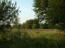 gorzen_227x170_073.jpg