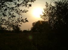 gorzen_227x170_077.jpg