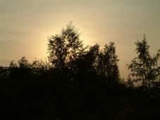 gorzen_227x170_081.jpg