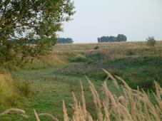gorzen_227x170_083.jpg