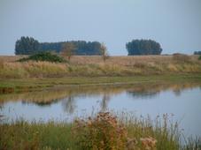 gorzen_227x170_096.jpg