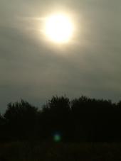 gorzen_170x227_026.jpg