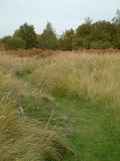 gorzen_170x227_027.jpg