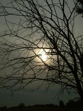 gorzen_170x227_028.jpg