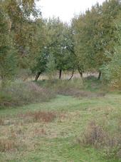 gorzen_170x227_030.jpg