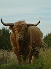 gorzen_170x227_032.jpg