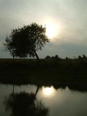 gorzen_170x227_038.jpg