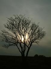 gorzen_170x227_040.jpg