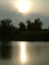 gorzen_170x227_041.jpg