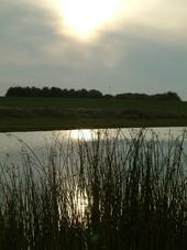 gorzen_170x227_045.jpg