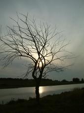 gorzen_170x227_046.jpg