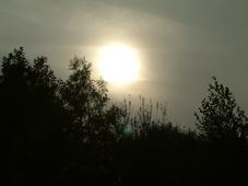 gorzen_227x170_022.jpg