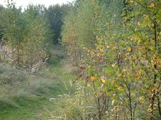 gorzen_227x170_023.jpg