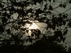 gorzen_227x170_024.jpg
