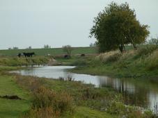 gorzen_227x170_036.jpg