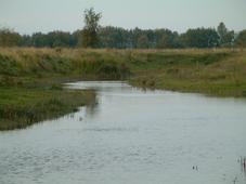 gorzen_227x170_039.jpg