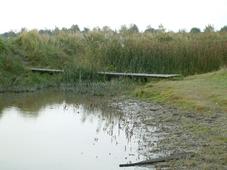 gorzen_227x170_042.jpg