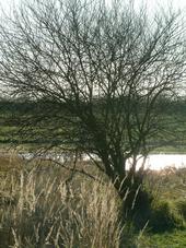 gorzen_170x227_006.jpg