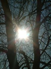 gorzen_170x227_007.jpg