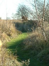 gorzen_170x227_010.jpg