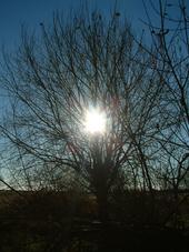 gorzen_170x227_011.jpg