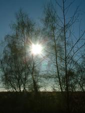 gorzen_170x227_018.jpg