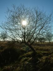 gorzen_170x227_023.jpg