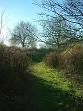 gorzen_170x227_024.jpg
