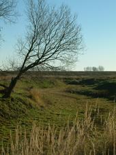 gorzen_170x227_025.jpg