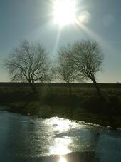 gorzen_170x227_032.jpg