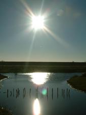 gorzen_170x227_035.jpg