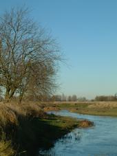 gorzen_170x227_037.jpg