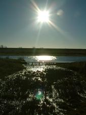 gorzen_170x227_040.jpg